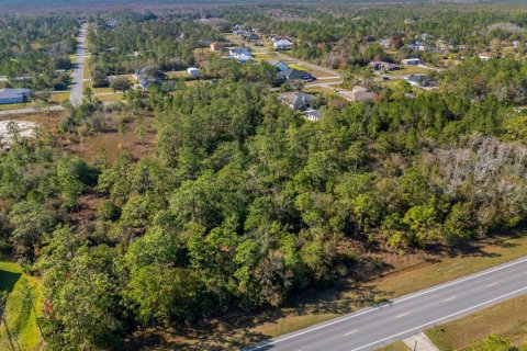 Land in Orlando, Florida № 1532187 - photo 4
