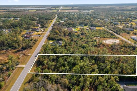 Land in Orlando, Florida № 1532187 - photo 13
