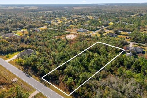 Land in Orlando, Florida № 1532187 - photo 15