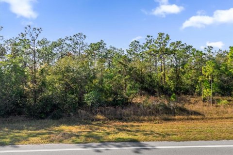 Land in Orlando, Florida № 1532187 - photo 1