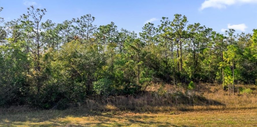 Land in Orlando, Florida № 1532187