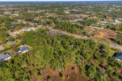 Land in Orlando, Florida № 1532187 - photo 10