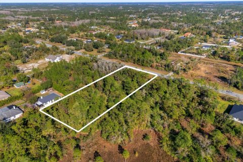 Land in Orlando, Florida № 1532187 - photo 9