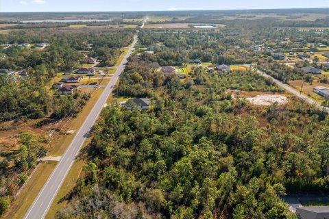 Land in Orlando, Florida № 1532187 - photo 14