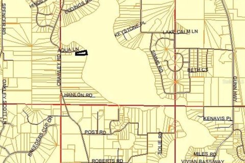 House in Odessa, Florida 7 bedrooms, 578.41 sq.m. № 2393813 - photo 25