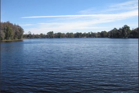 House in Odessa, Florida 7 bedrooms, 578.41 sq.m. № 2393813 - photo 7
