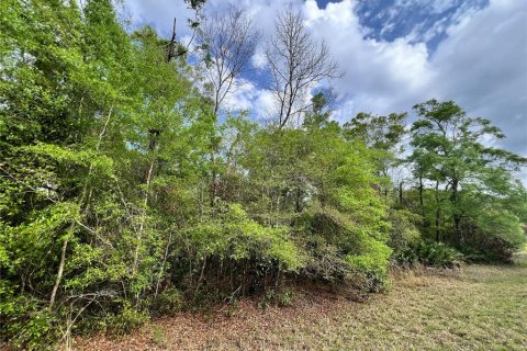 Land in Chiefland, Florida № 2159217 - photo 14