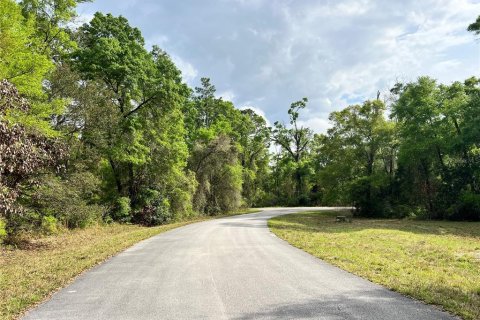 Land in Chiefland, Florida № 2159217 - photo 9