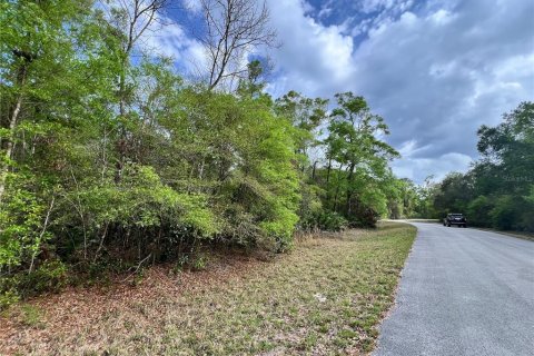 Land in Chiefland, Florida № 2159217 - photo 13