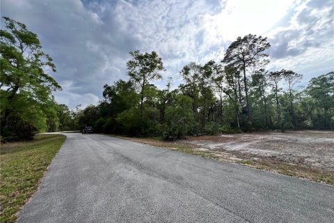Land in Chiefland, Florida № 2159217 - photo 11