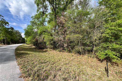 Land in Chiefland, Florida № 2159217 - photo 6