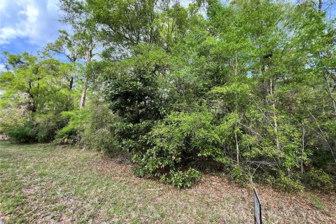 Land in Chiefland, Florida № 2159217