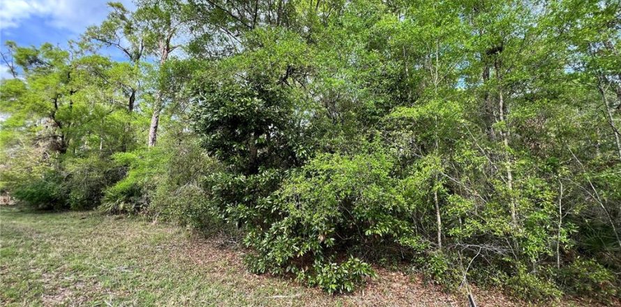 Land in Chiefland, Florida № 2159217