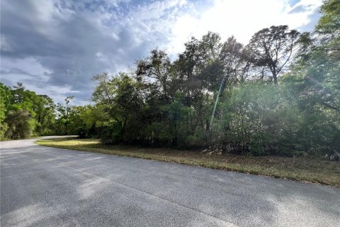 Land in Chiefland, Florida № 2159217 - photo 4