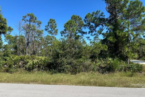 Land in Punta Gorda, Florida № 2160225 - photo 3