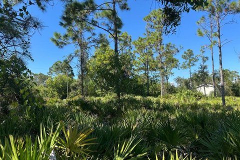 Land in Punta Gorda, Florida № 2160225 - photo 4