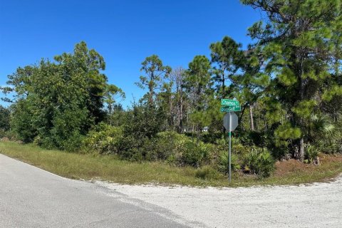 Land in Punta Gorda, Florida № 2160225 - photo 2