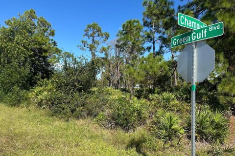 Land in Punta Gorda, Florida № 2160225 - photo 5