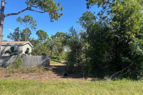 Land in Punta Gorda, Florida № 2160225 - photo 7