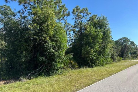 Land in Punta Gorda, Florida № 2160225 - photo 6