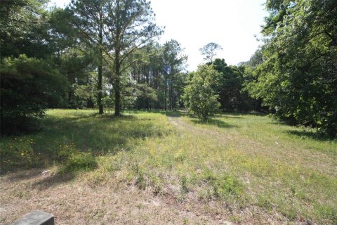 Terreno en venta en High Springs, Florida № 1533944 - foto 4