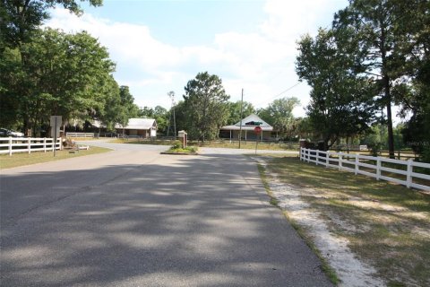 Terreno en venta en High Springs, Florida № 1533944 - foto 3