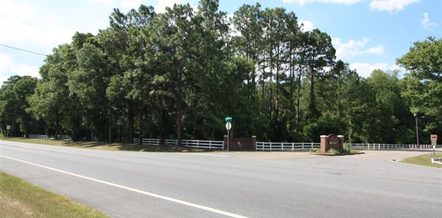 Terreno en High Springs, Florida № 1533944