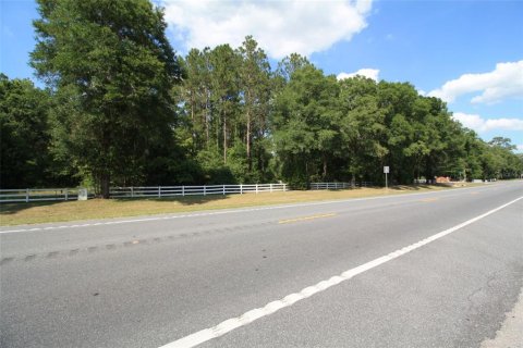 Terreno en venta en High Springs, Florida № 1533944 - foto 2