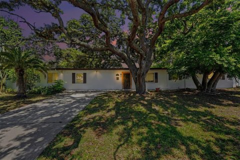 Villa ou maison à vendre à Belleair, Floride: 4 chambres, 158.96 m2 № 2199863 - photo 2