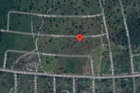 Terrain à Sebring, Floride № 2201679