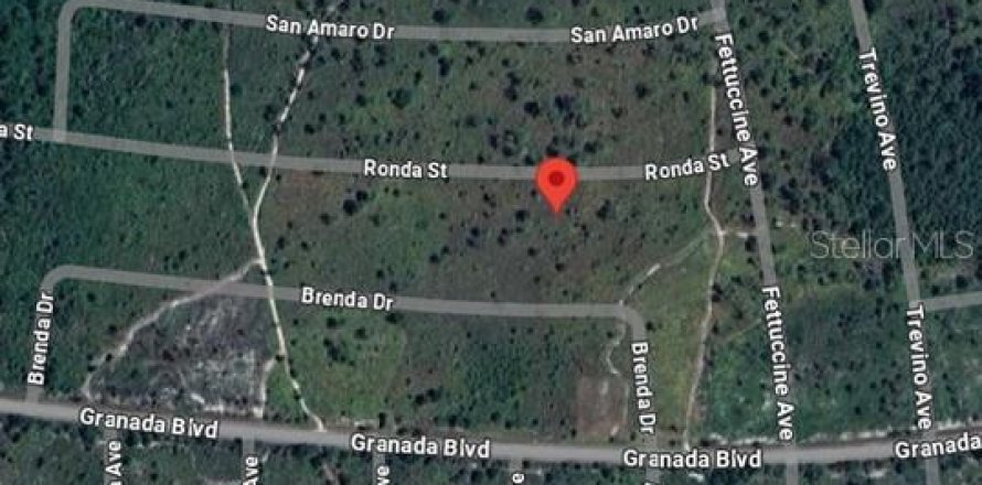 Terrain à Sebring, Floride № 2201679