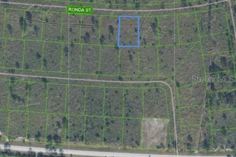 Terrain à vendre à Sebring, Floride № 2201679 - photo 2