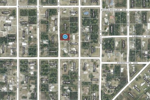 Land in Paisley, Florida № 2166499 - photo 2