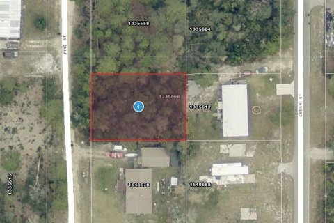 Land in Paisley, Florida № 2166499