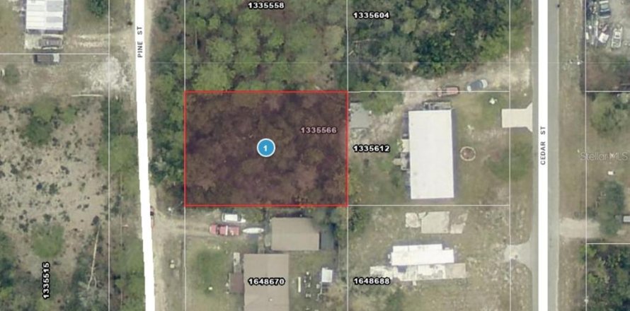 Land in Paisley, Florida № 2166499