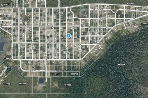 Land in Paisley, Florida № 2166499 - photo 3