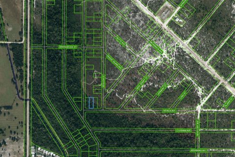 Land in Lake Placid, Florida № 2224156