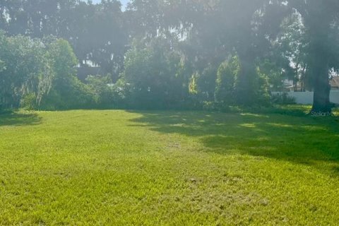 Land in Fort Meade, Florida № 2218535 - photo 2