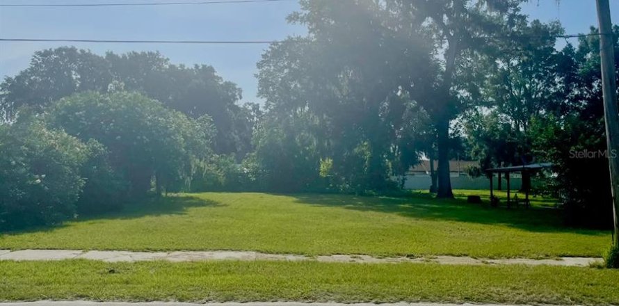 Land in Fort Meade, Florida № 2218535