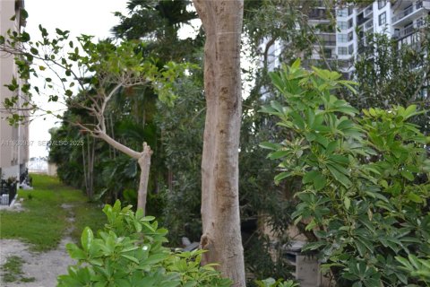 Снять в аренду кондоминиум в Майами, Флорида 1 спальня, 66.24м2, № 1989721 - фото 7