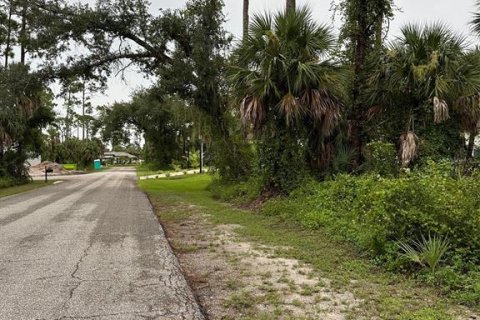 Land in Port Charlotte, Florida № 2160903 - photo 2