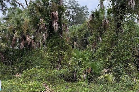 Land in Port Charlotte, Florida № 2160903