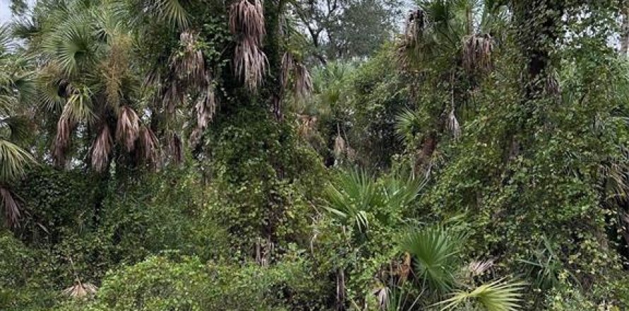 Land in Port Charlotte, Florida № 2160903