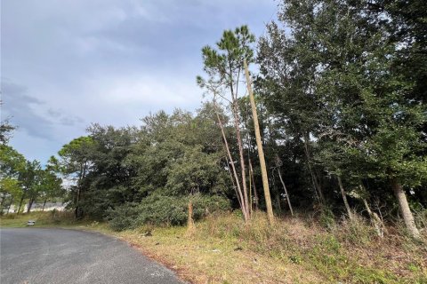 Land in Kissimmee, Florida № 2163593