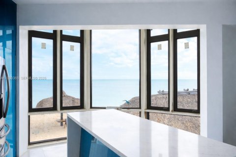 Villa ou maison à vendre à Big Pine Key, Floride: 6 chambres, 281.4 m2 № 2049171 - photo 10