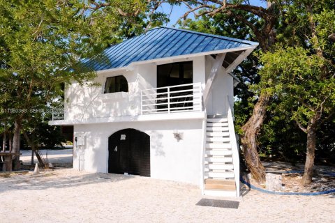 Villa ou maison à vendre à Big Pine Key, Floride: 6 chambres, 281.4 m2 № 2049171 - photo 5