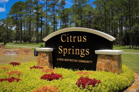 Land in Citrus Springs, Florida № 2232606 - photo 3