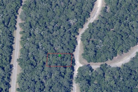 Land in Citrus Springs, Florida № 2232606