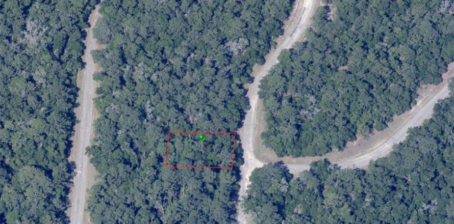 Land in Citrus Springs, Florida № 2232606
