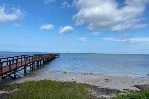 Casa en alquiler en Palm Harbor, Florida, 3 dormitorios, 130.81 m2 № 1869365 - foto 17